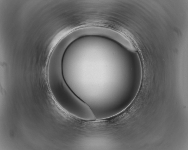 X0000090901344200708061457