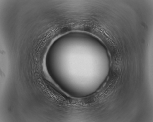 X0000090901345200708061456