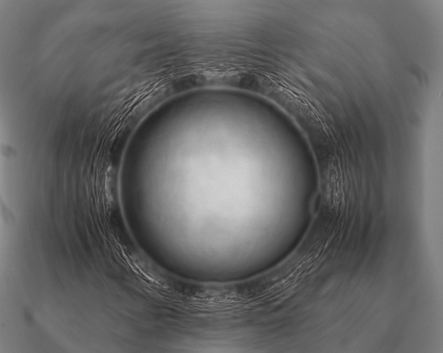 X0000090901346200708061456