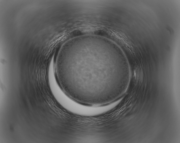 X0000090901348200708061456