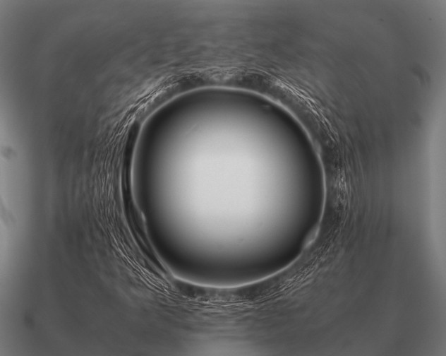 X0000090901349200708061456