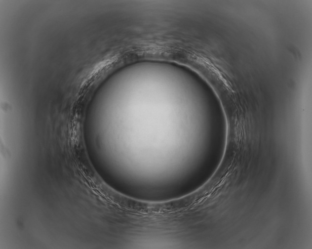 X0000090901350200708061456