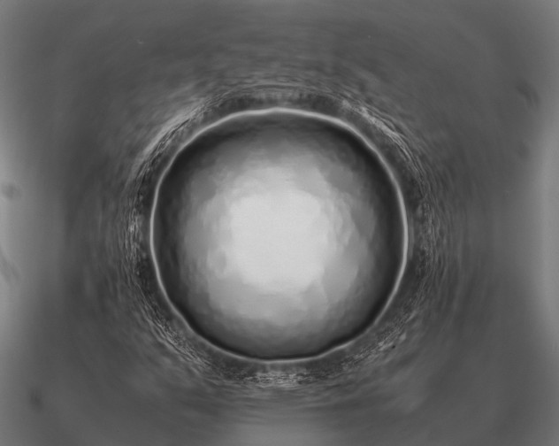 X0000090901351200708061456