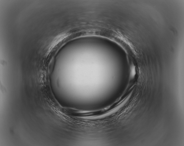 X0000090901352200708061456