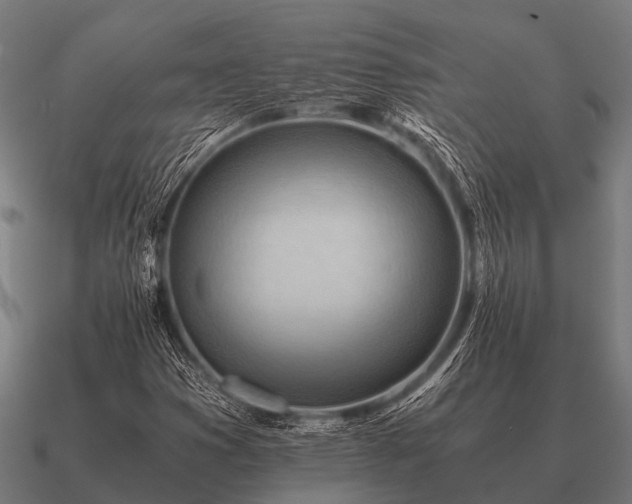 X0000090901353200708061456