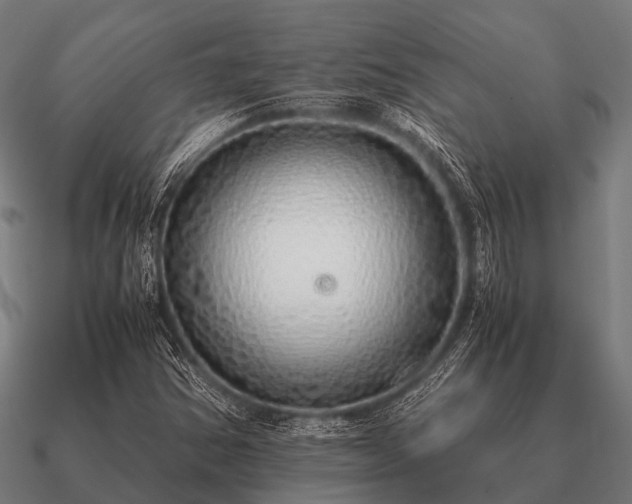 X0000090901354200708061456