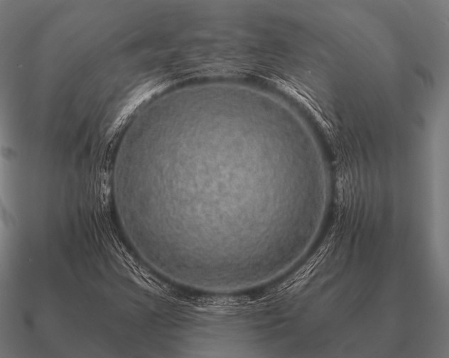 X0000090901355200708061456