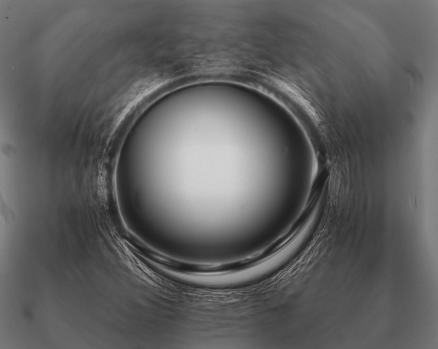 X0000090901356200708061456