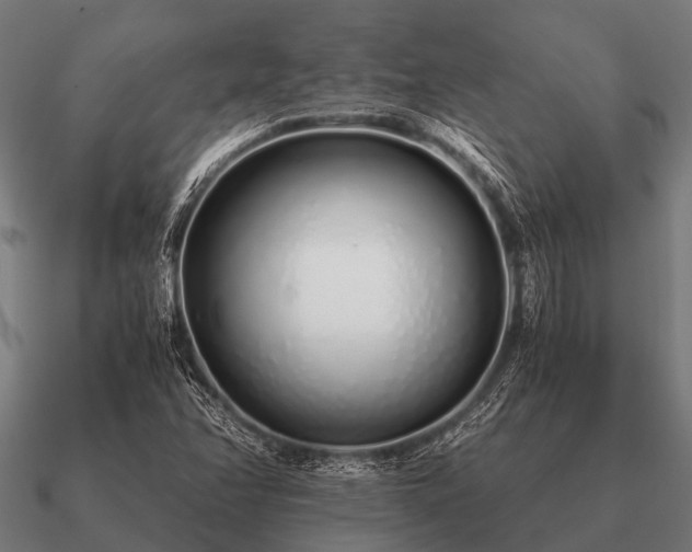 X0000090901358200708061456