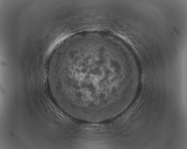 X0000090901359200708061456