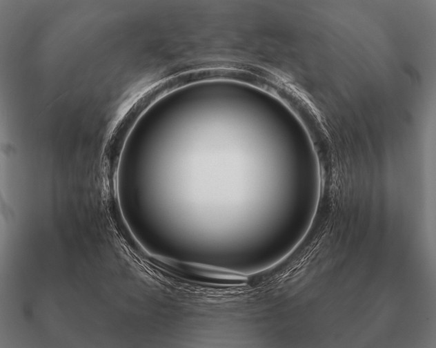 X0000090901360200708061456