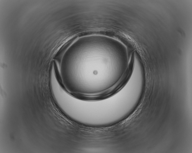 X0000090901361200708061456