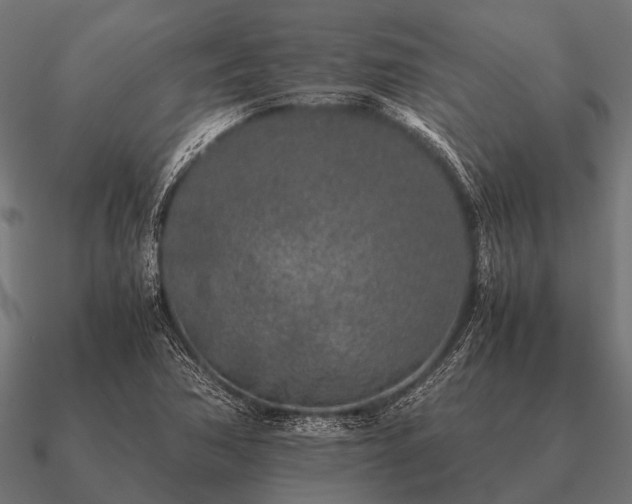 X0000090901362200708061456