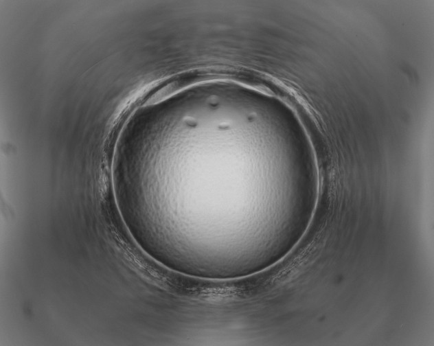 X0000090901363200708061456