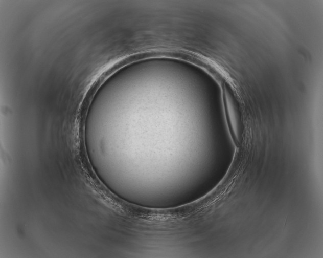 X0000090901364200708061456