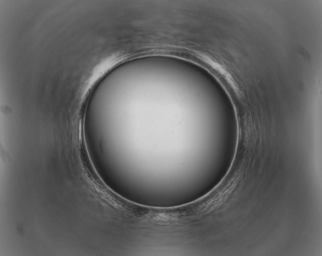 X0000090901365200708061456