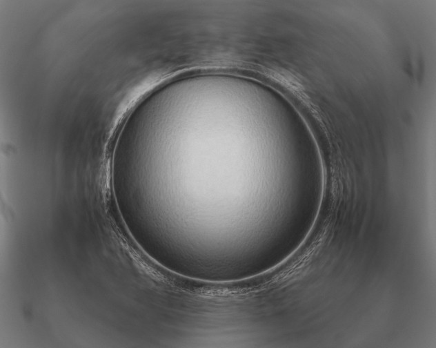 X0000090901366200708061456