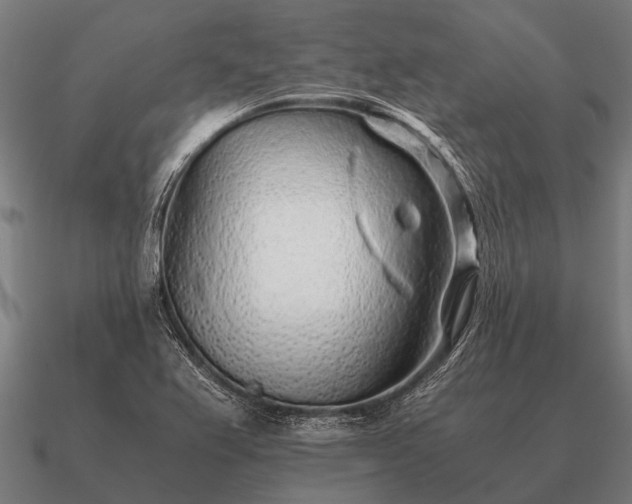 X0000090901367200708061456