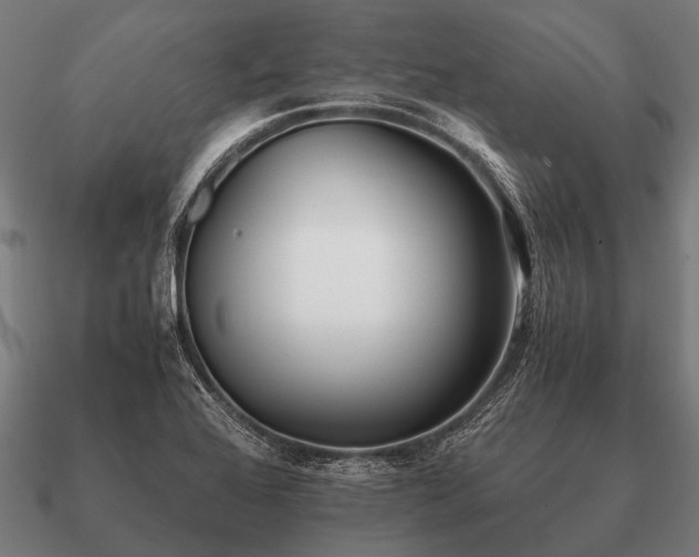 X0000090901368200708061456