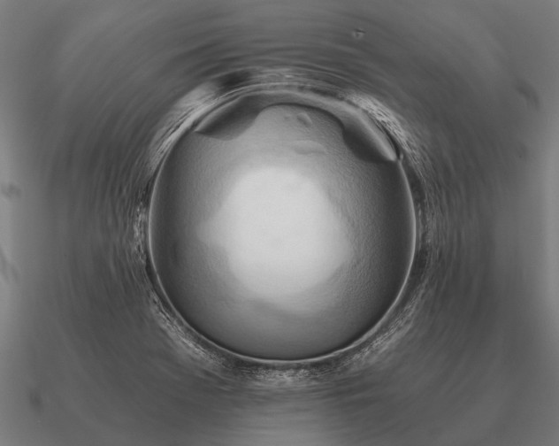 X0000090901369200708061456