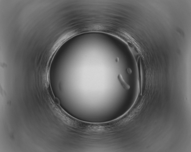 X0000090901370200708061456