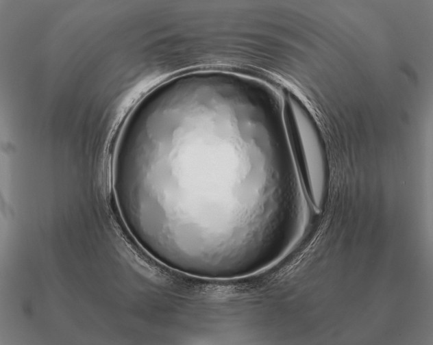 X0000090901371200708061456