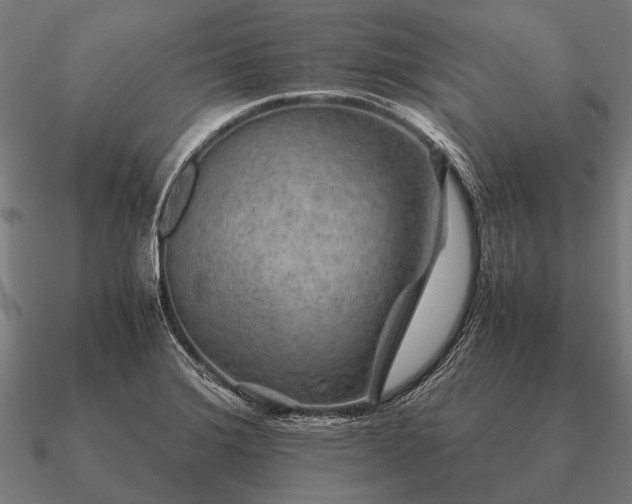 X0000090901372200708061456