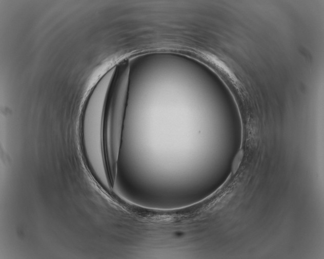 X0000090901373200708061456