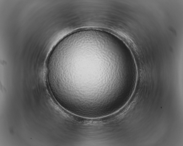 X0000090901374200708061456