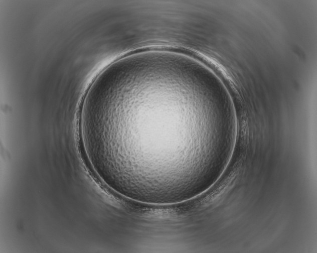 X0000090901375200708061456