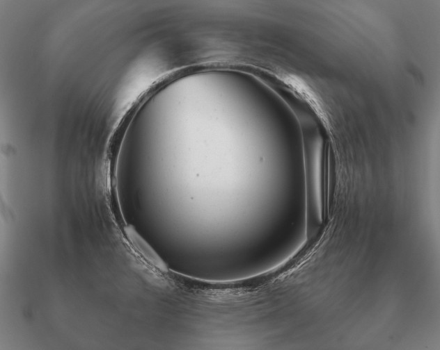 X0000090901376200708061456