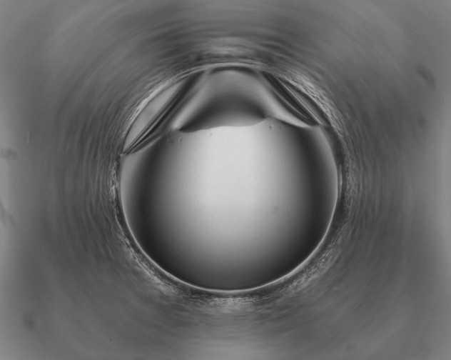 X0000090901377200708061456