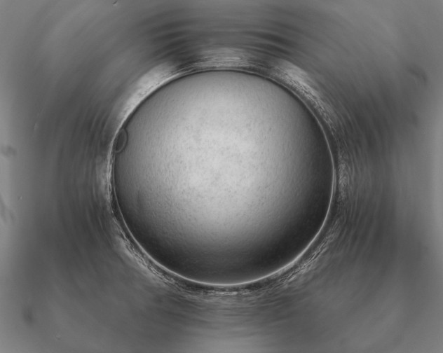 X0000090901378200708061456