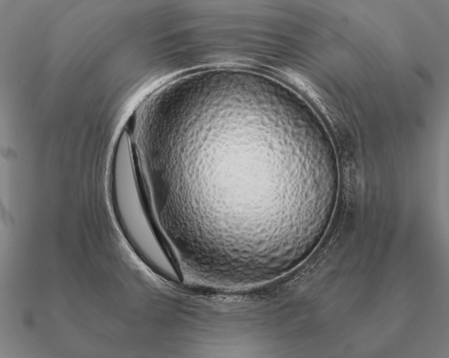 X0000090901379200708061456