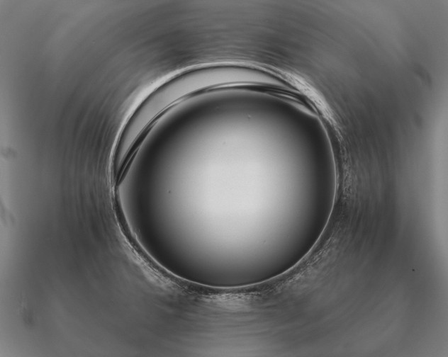 X0000090901380200708061456