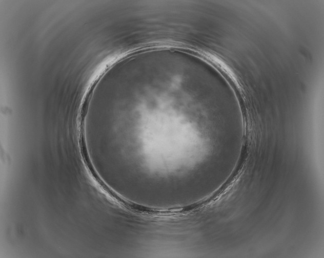 X0000090901381200708061455