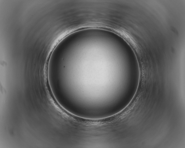 X0000090901382200708061455