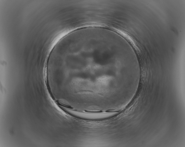 X0000090901383200708061455