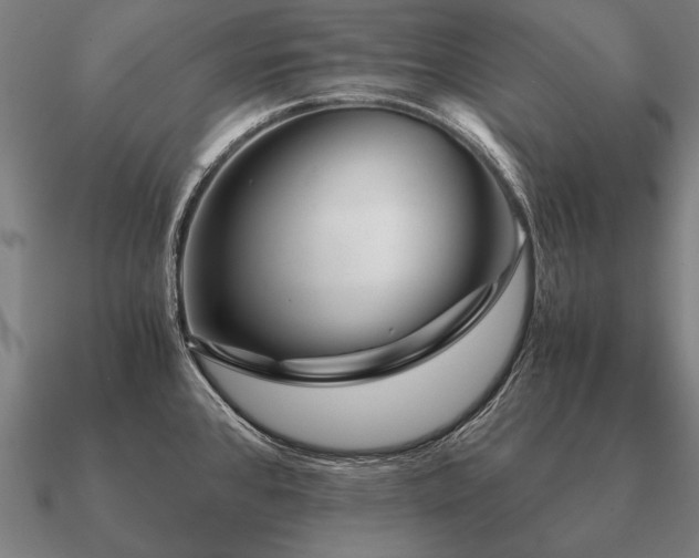 X0000090901384200708061455