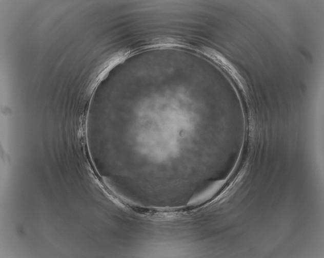 X0000090901385200708061455