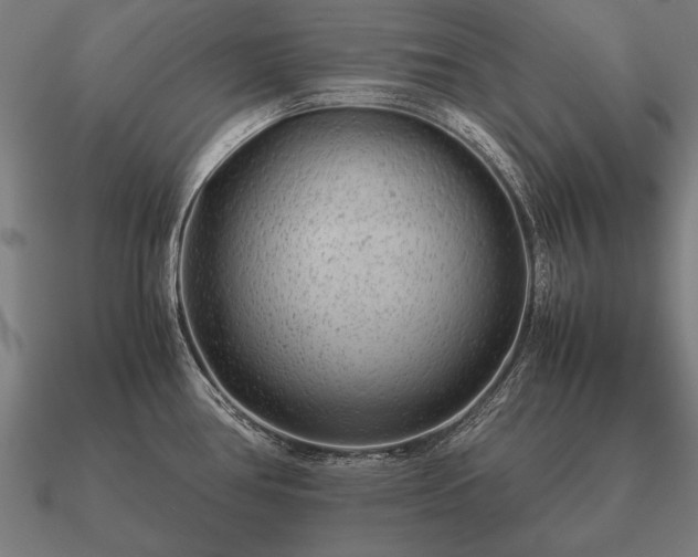 X0000090901386200708061455