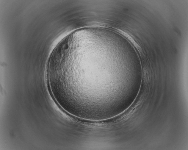 X0000090901387200708061455