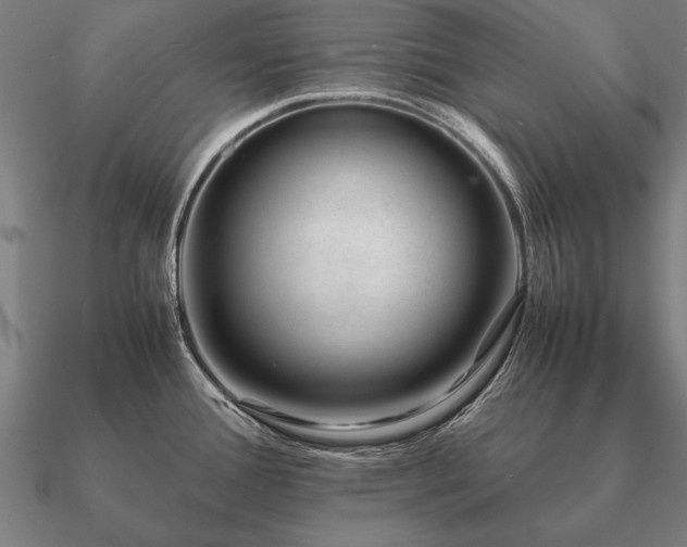 X0000090901388200708061455