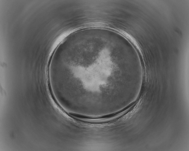 X0000090901389200708061455