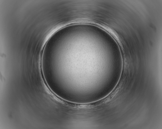 X0000090901390200708061455