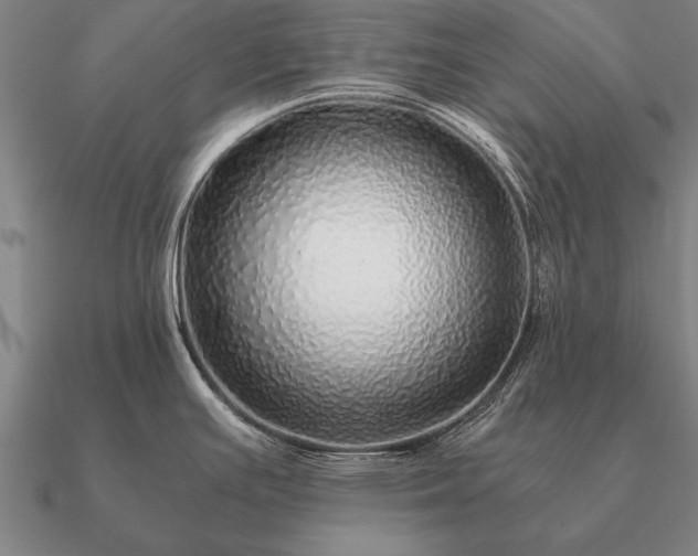 X0000090901391200708061455