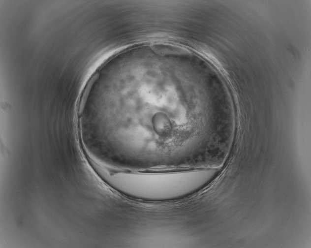 X0000090901392200708061455