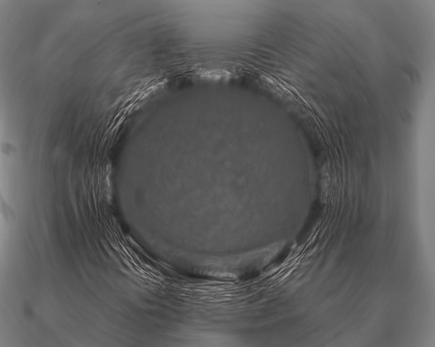 X0000090901394200708061455