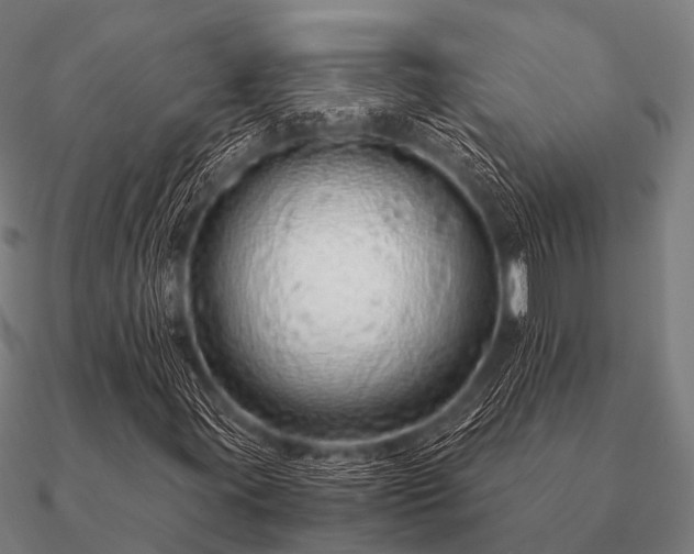 X0000090901395200708061455