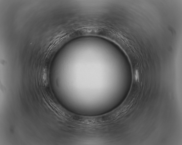 X0000090901396200708061455